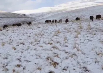 Kış kapıya dayandı