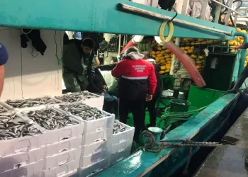 Didim’de balıkçı tekneleri denetlendi