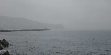Zonguldak’ta sis etkili oldu