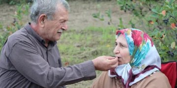 Eşinin rahatsızlığı için ektiği meyvenin taleplerine yetişemiyor