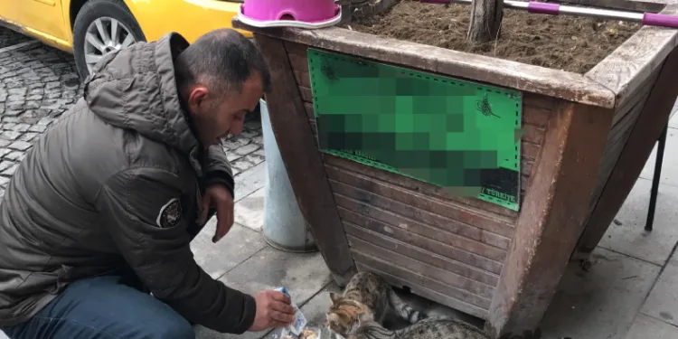 Bayburtlu taksici siftahı kedileri besleyerek yapıyor