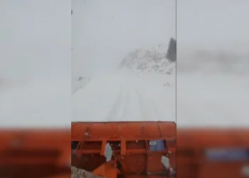 Muş’un yüksek kesimlerinde kar yağışı etkili oldu
