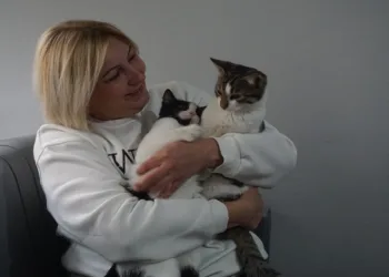Evini kedilere verdi