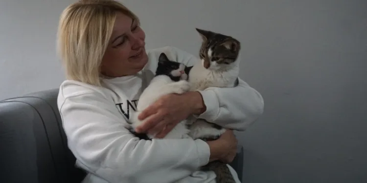Evini kedilere verdi