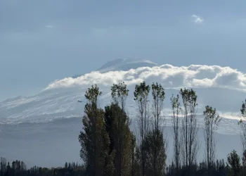 Usulsüz şekilde sakarmeke avlayan 2 kişi tespit edildi