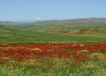 Sis, 4 bin yıllık tarihi Harput’a zenginlik kattı
