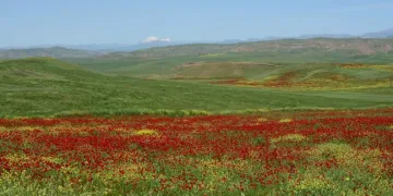 Sis, 4 bin yıllık tarihi Harput’a zenginlik kattı