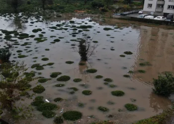 Rize’deki şiddetli yağıştan tarım arazileri de nasibini aldı