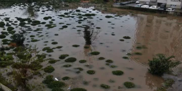 Rize’deki şiddetli yağıştan tarım arazileri de nasibini aldı