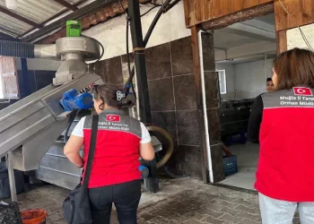 Muğla’da zeytinyağı denetimleri hız kesmeden devam ediyor