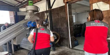 Muğla’da zeytinyağı denetimleri hız kesmeden devam ediyor
