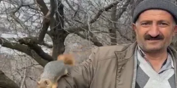 Sincap ilgi odağı oldu