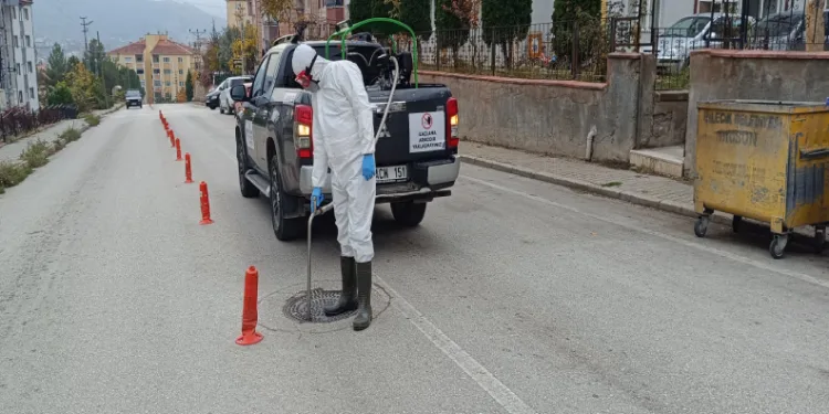 Rögarlarda ilaçlama çalışması yapıldı