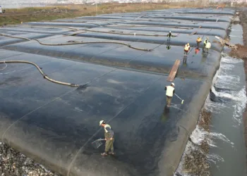 Başkan Büyükakın, COP29’da dip çamuru