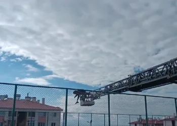 Halı sahanın yan ağlarına takılan karga