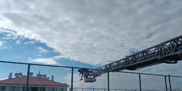 Halı sahanın yan ağlarına takılan karga