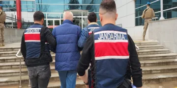Terör örgütü PKK/KCK operasyonu: 1 gözaltı