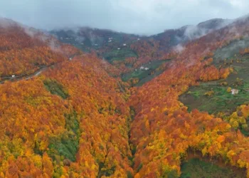Samsun’da masalsı sonbahar