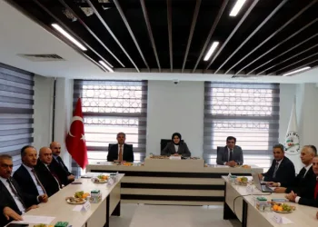 Tilki, kedilerin mamalarına ortak oluyor