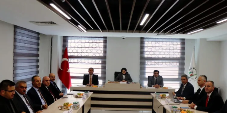 Tilki, kedilerin mamalarına ortak oluyor