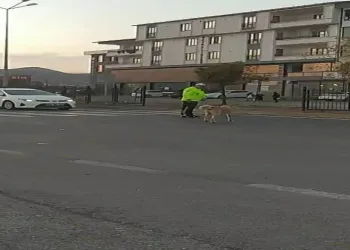 Trafik polisinden yürek ısıtan davranış