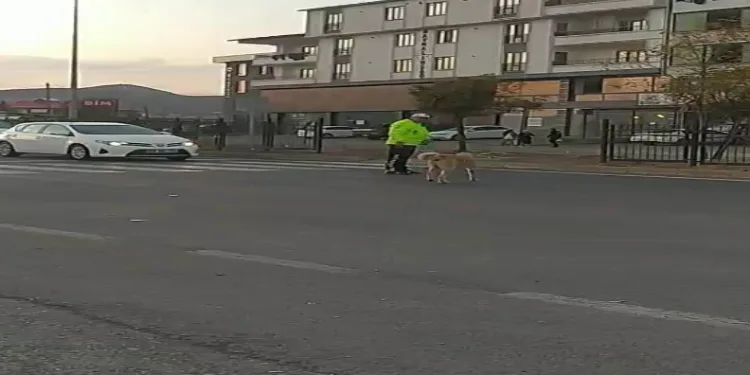 Trafik polisinden yürek ısıtan davranış