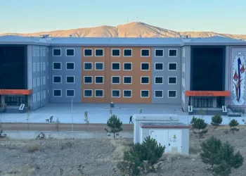 Dünya rekoru adayı dev çini