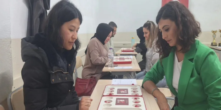Akıl ve zeka oyunları turnuvası