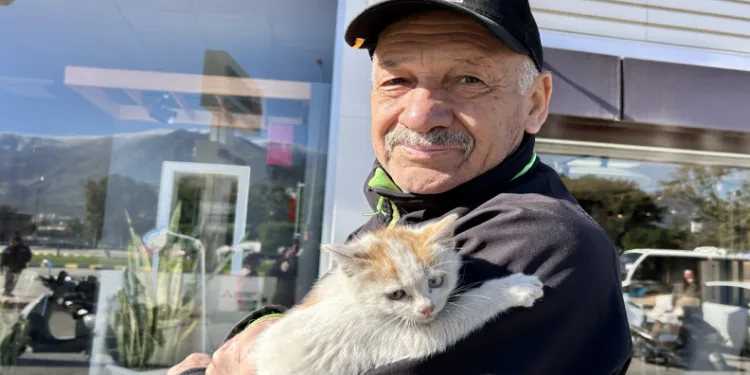 Motora sığınan yavru kedi