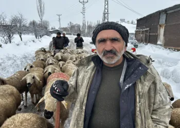 Kara kışa hazırlıksız yakalandılar