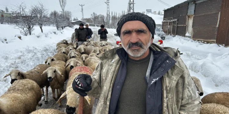 Kara kışa hazırlıksız yakalandılar