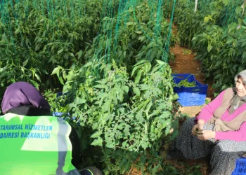 Antalya’da hasar tespiti sürüyor