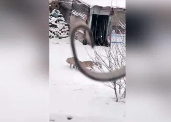 Kartpostallık görüntüler
