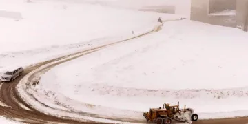 500’e yakın mahalleye müdahale