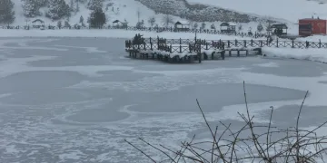 Mest eden kış manzarası