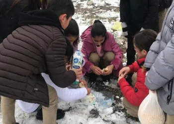 Hayvanlar için doğaya yiyecek bıraktı