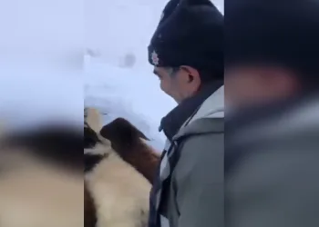 Çoban, köylülerin yardımıyla kurtarıldı