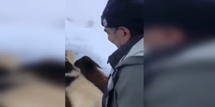 Çoban, köylülerin yardımıyla kurtarıldı