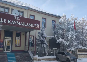 Aşkale’de soğuk hava etkili oluyor