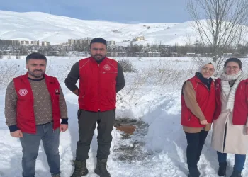 Hayvanlar için doğaya yiyecek bıraktı