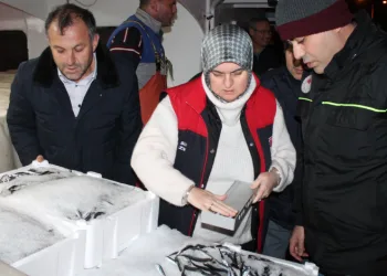 Tonlarca hamsi sevk edildi