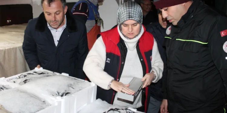 Tonlarca hamsi sevk edildi