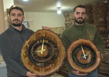 Ceviz ağaçlarını süs eşyasına dönüştürüyorlar