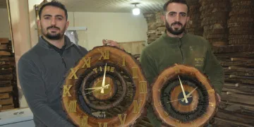 Ceviz ağaçlarını süs eşyasına dönüştürüyorlar