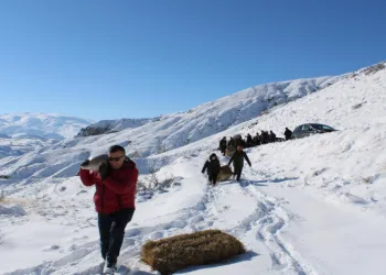 Yaban hayatını unutmadılar