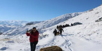 Yaban hayatını unutmadılar