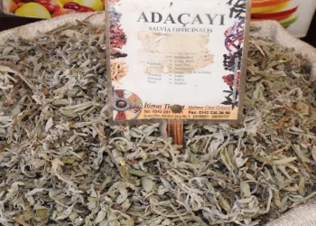 Aktarlarda kış yoğunluğu