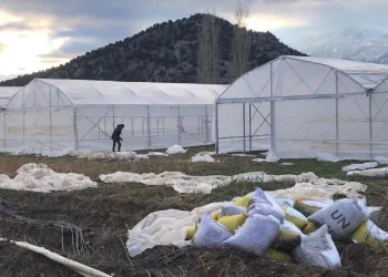 Beyşehir’de üreticilere sera desteği