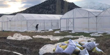 Beyşehir’de üreticilere sera desteği