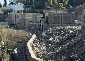 Bodrum’da ağaç katliamı cezası